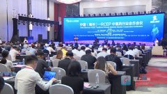 亳州：外贸总体“量稳质升” 新动能加快构成